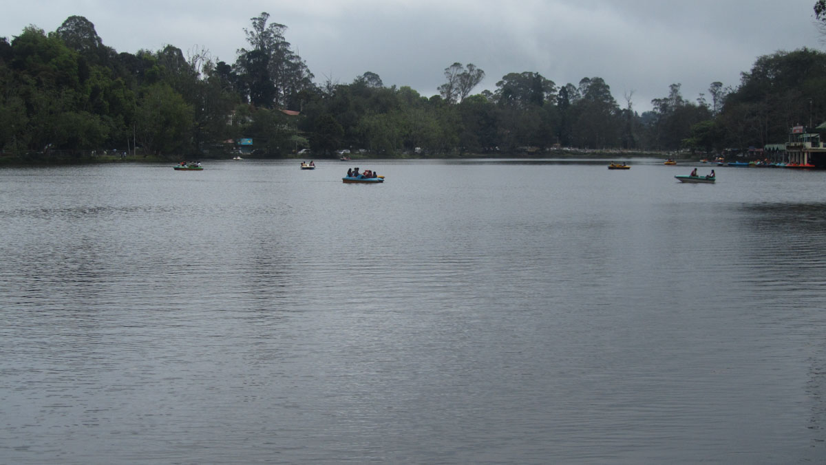 Kodaikanal, Tamil Nadu, India