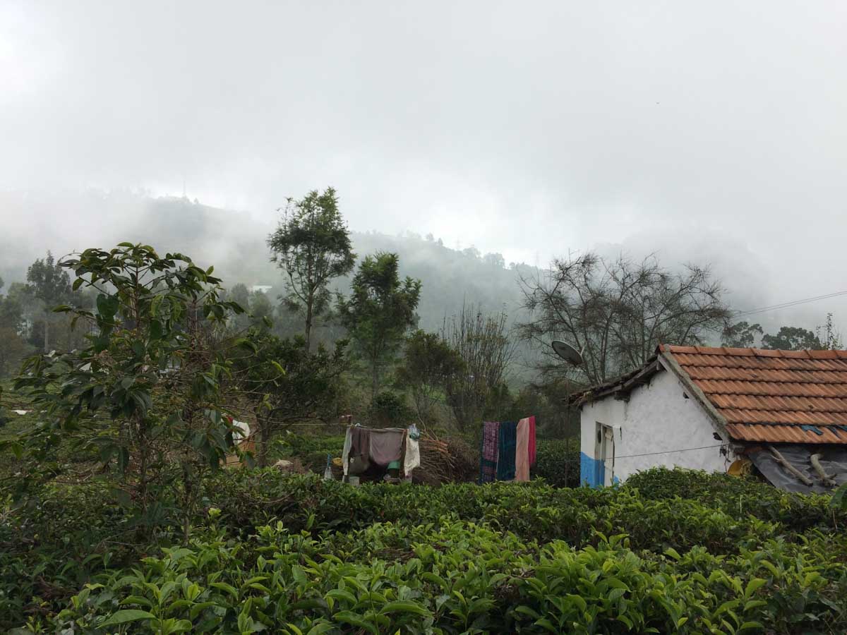 Kotagiri, Tamil Nadu