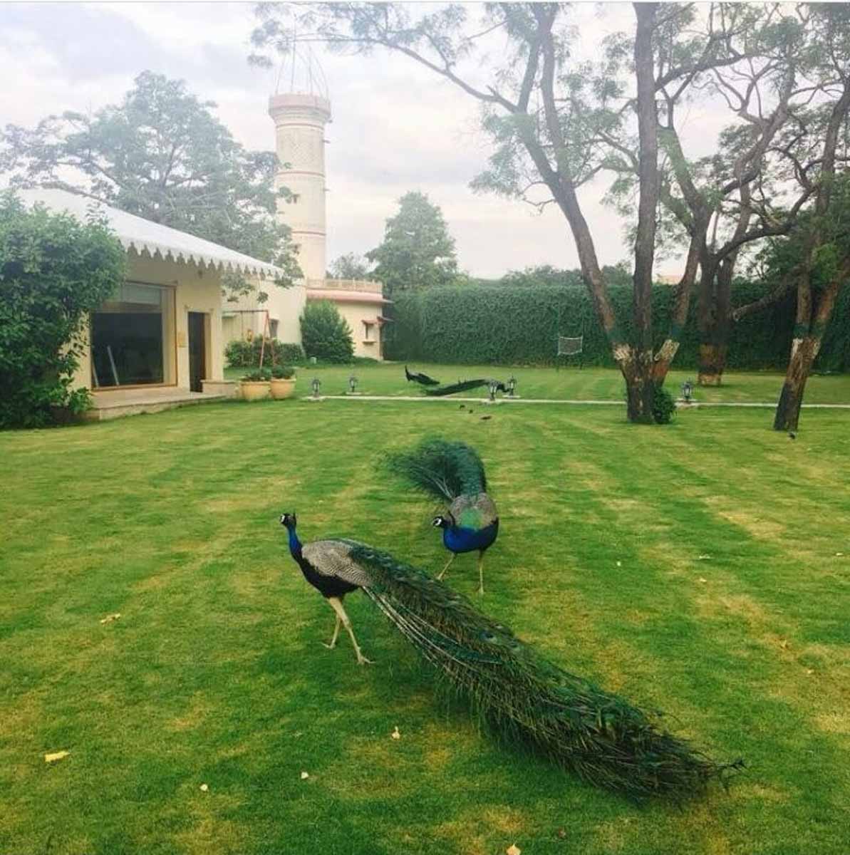  Taj Jai Mahal Palace Hotel, Jaipur