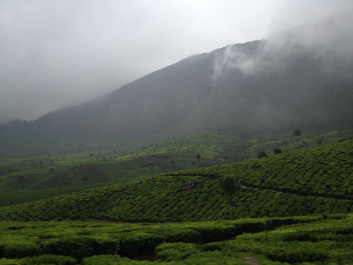 Munnar