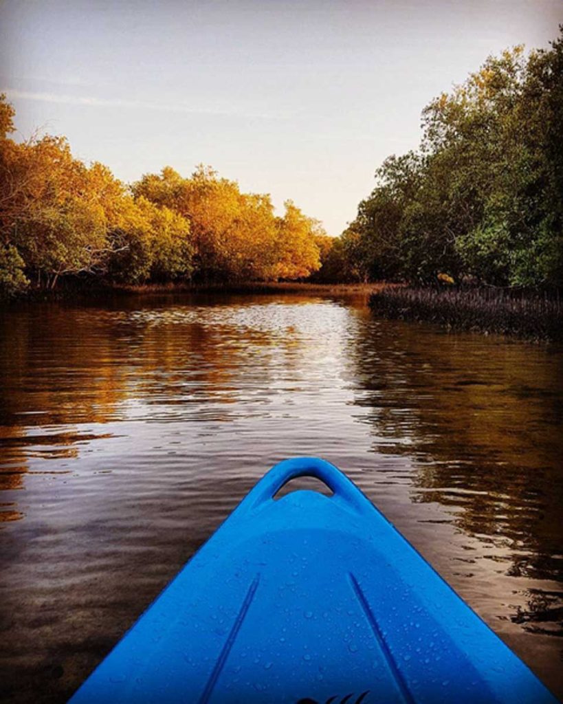 Mangrove National Park