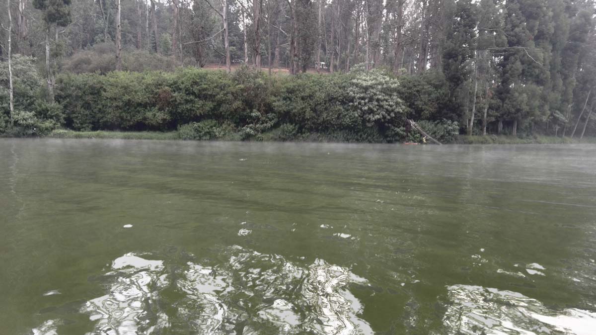 Ooty Lake