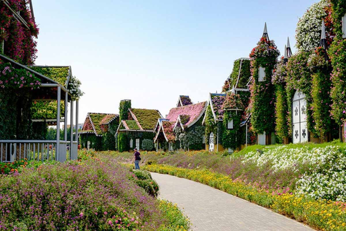 Miracle Garden