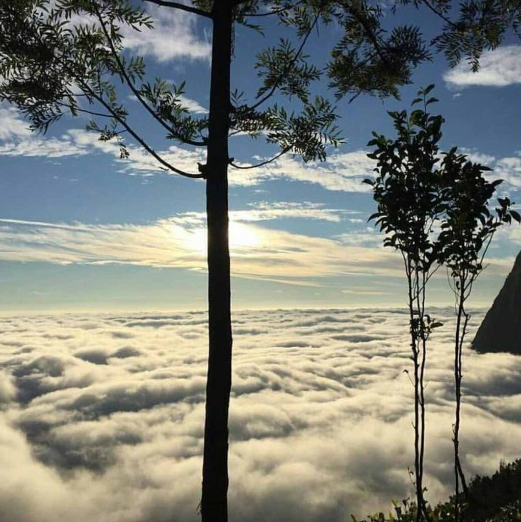 Munnar