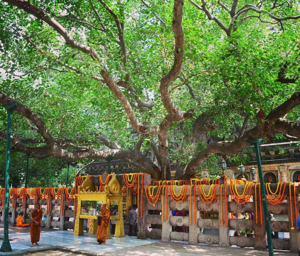 Mahabodhi Temple