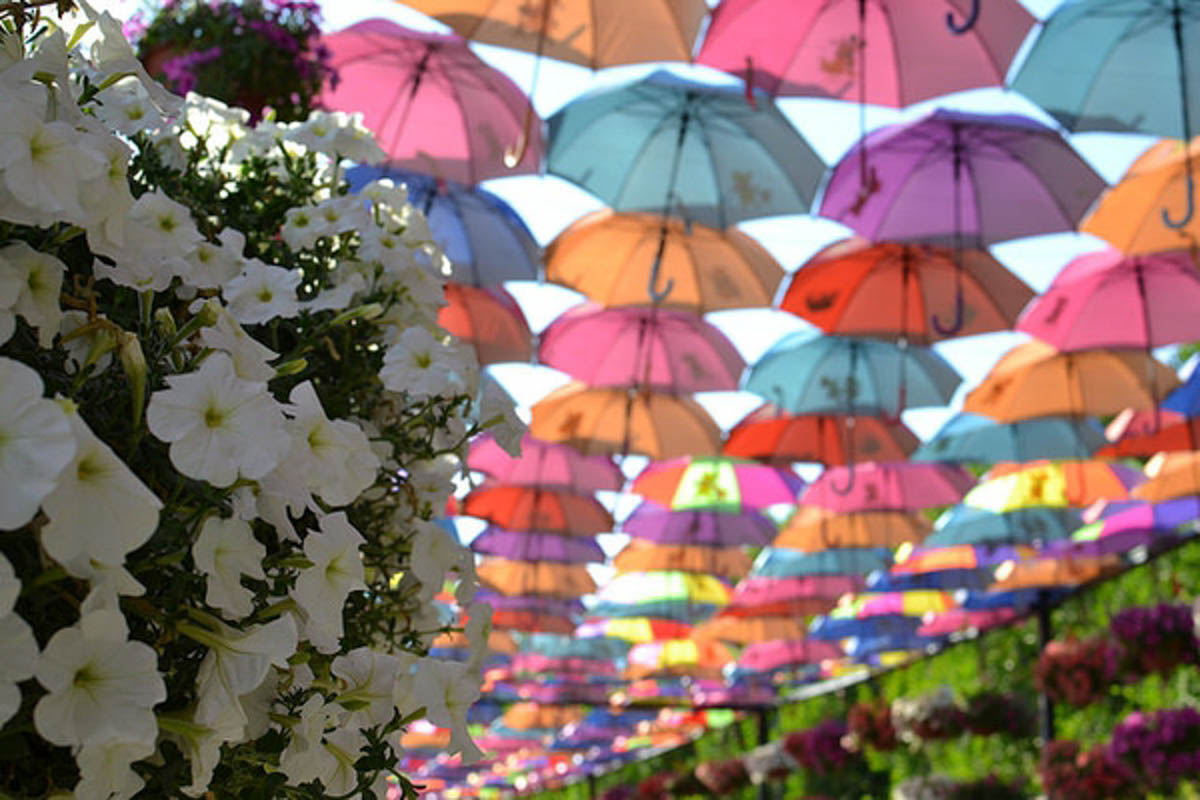 Miracle Garden