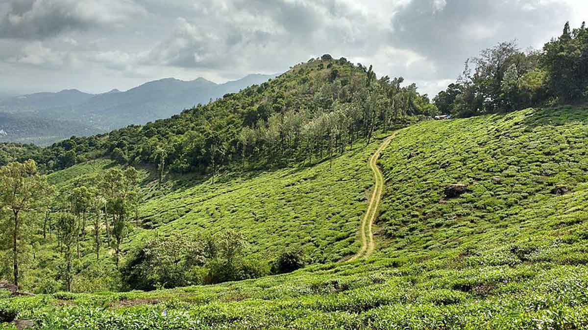 Wayanad