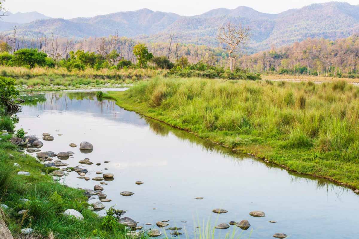 Corbett National Park