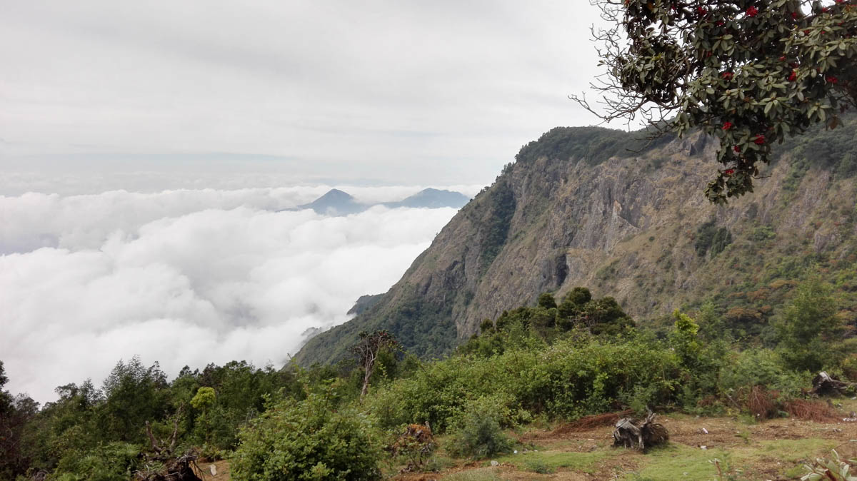 Kodaikanal, Tamil Nadu, India