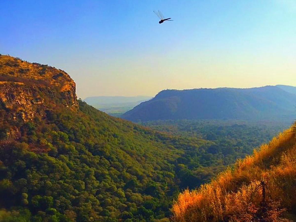 Ranthambore National Park