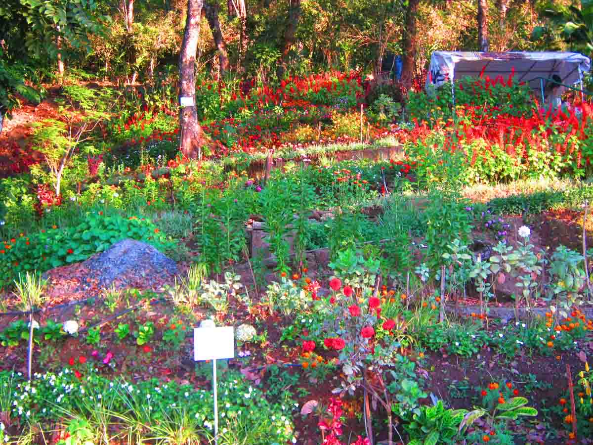 FLORICULTURE CENTRE