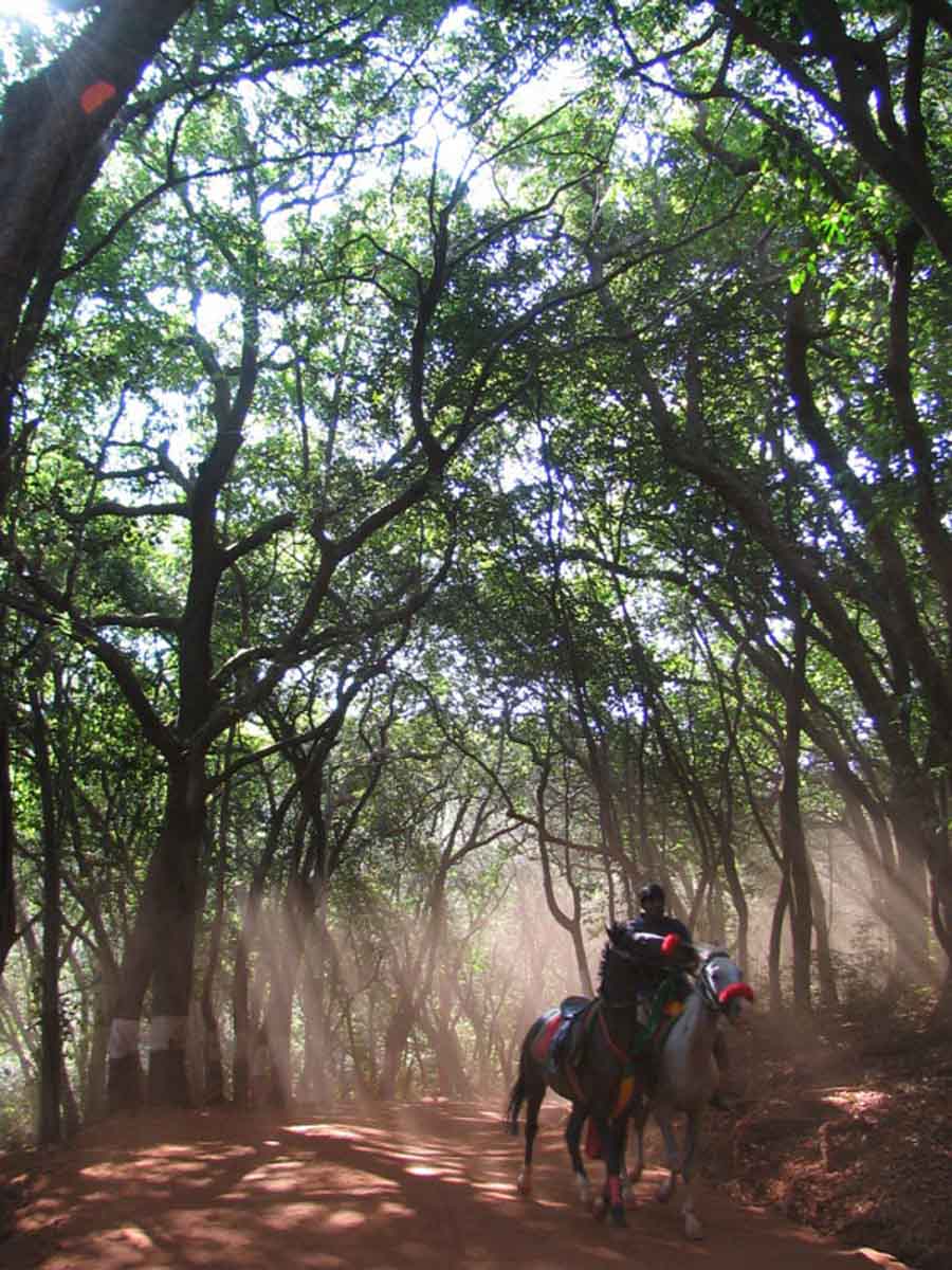 Matheran