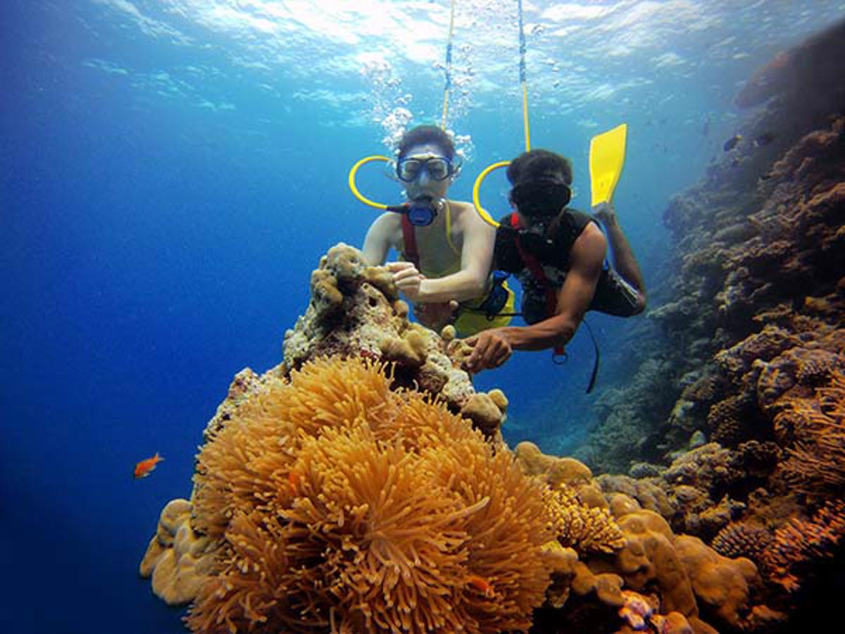 Agatti Beach, Lakshadweep