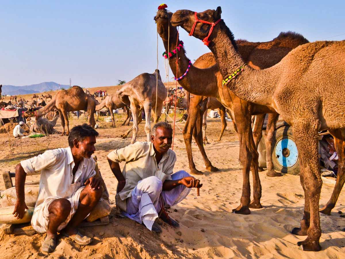 Pushkar Camel Fair