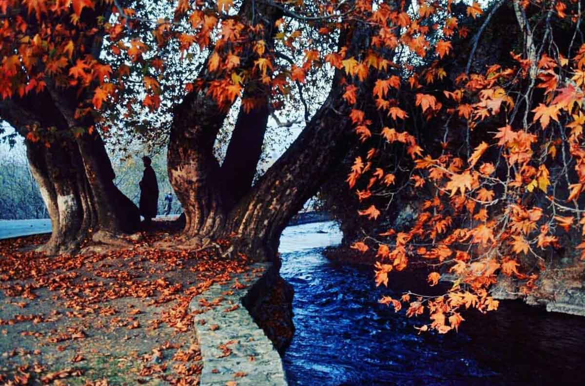 Mughal Gardens, Kashmir