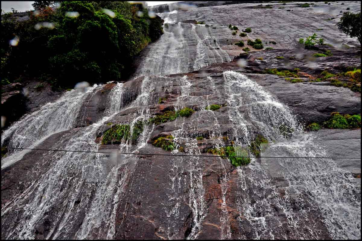 Eravikulam National Park