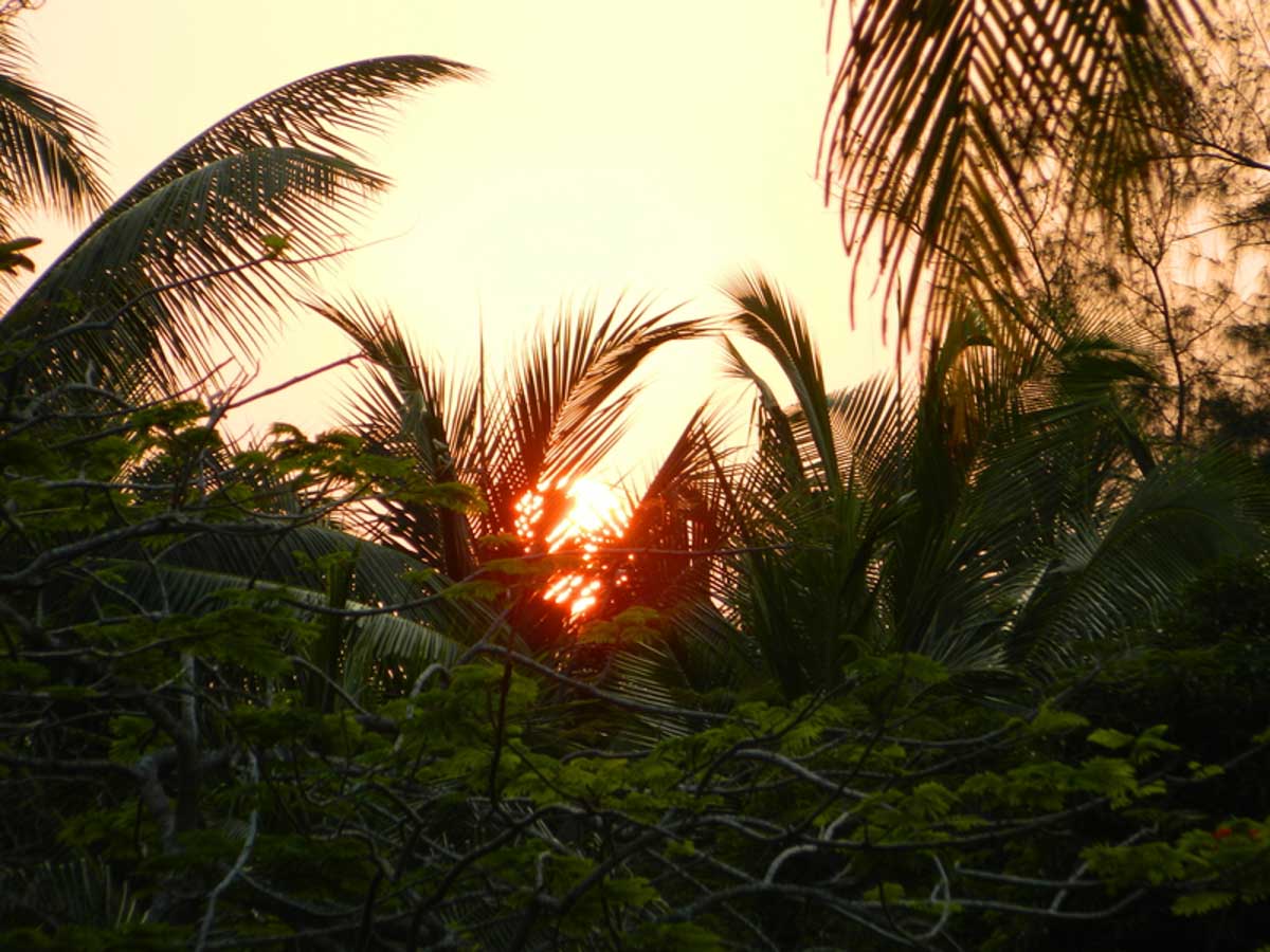 Corbyn Cove's Beach at Port Blair