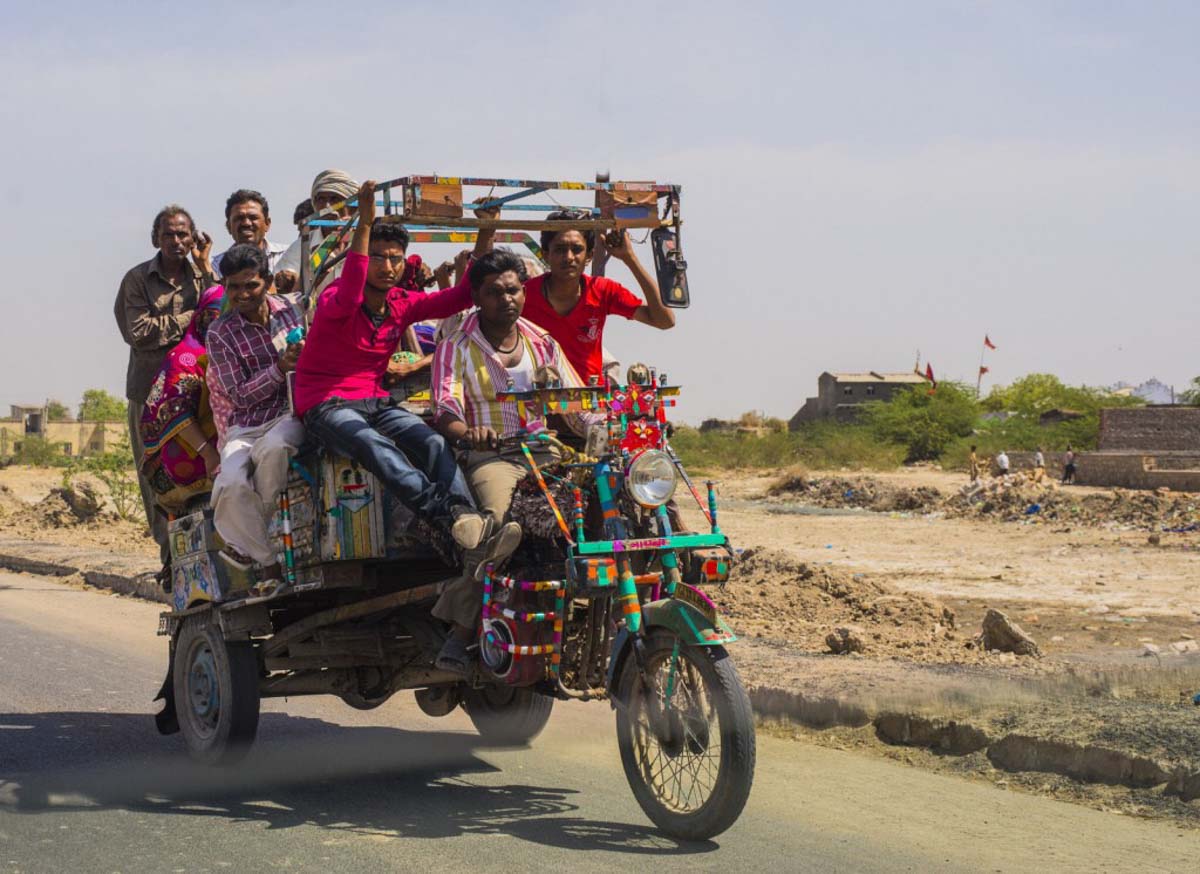 Chakkdo at Little Rann of Kutch