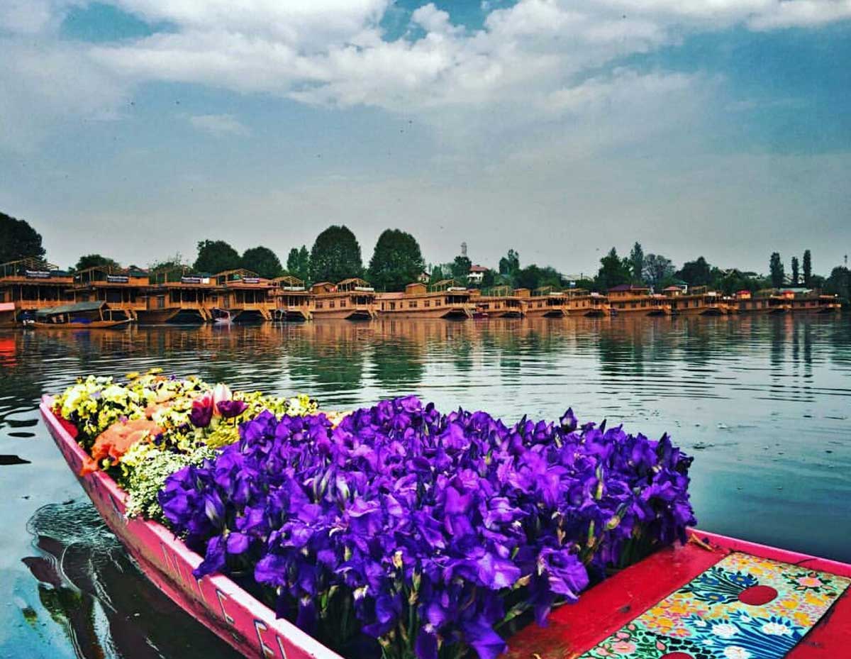Kashmir