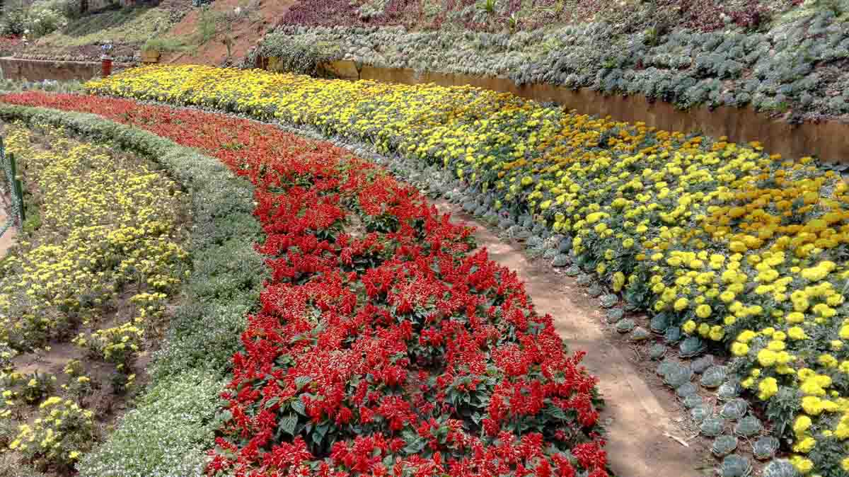 Ooty Botanical Gardens