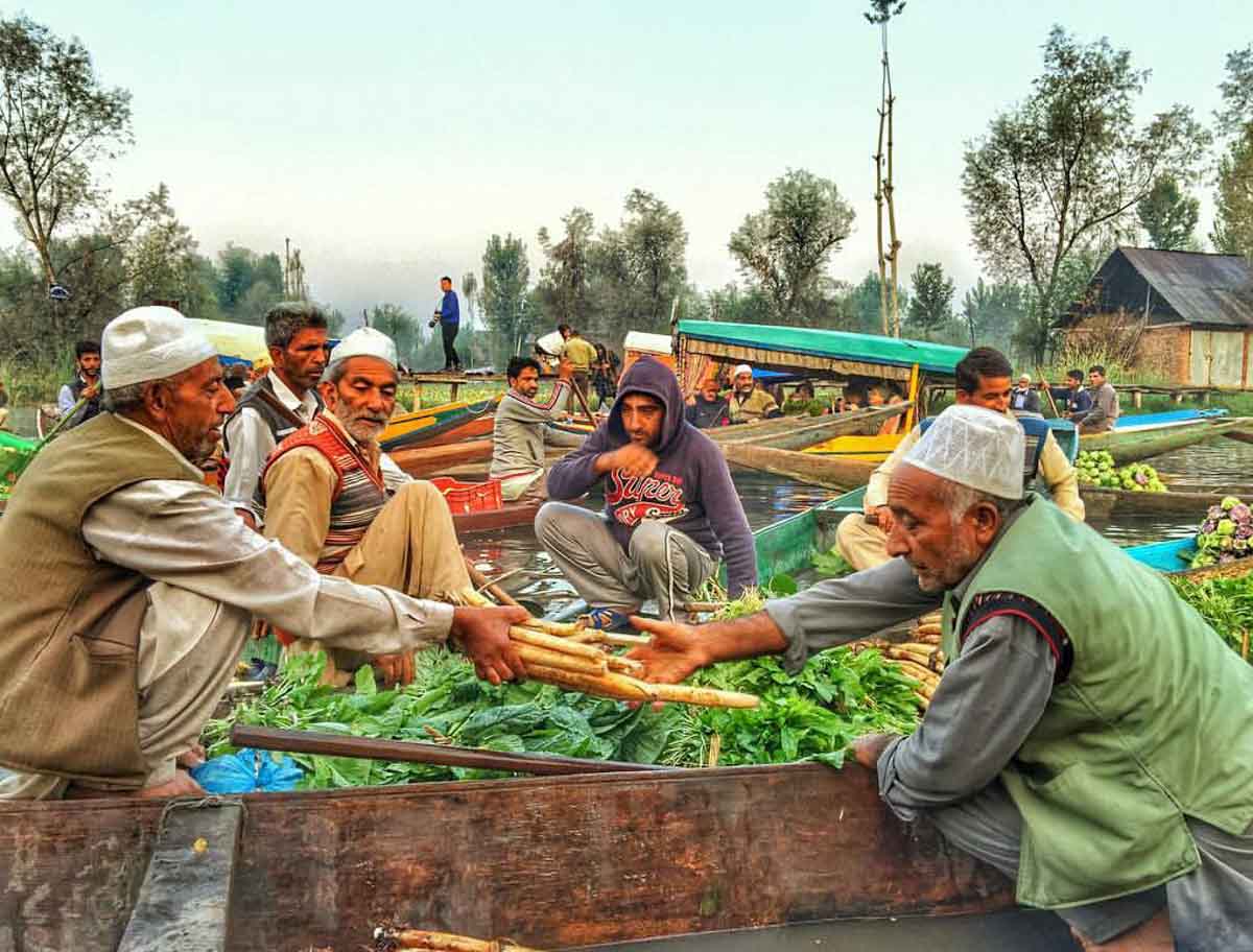 Morning vegetable floating market, Kashmir