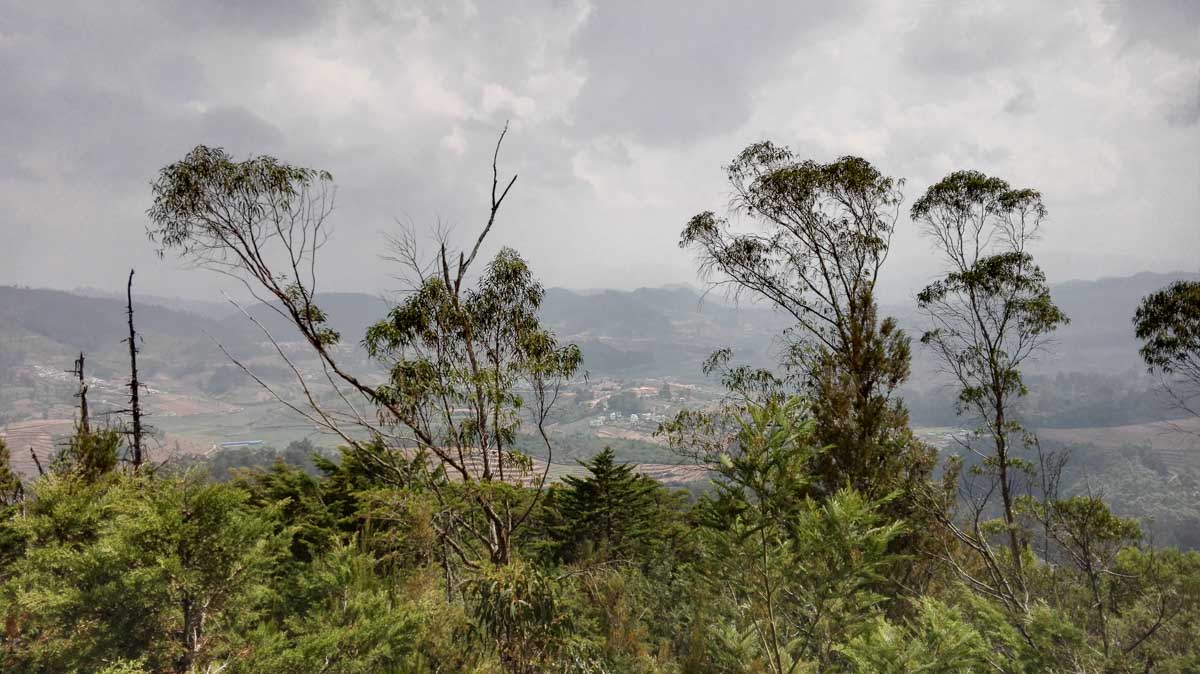 Ooty Forest Walk