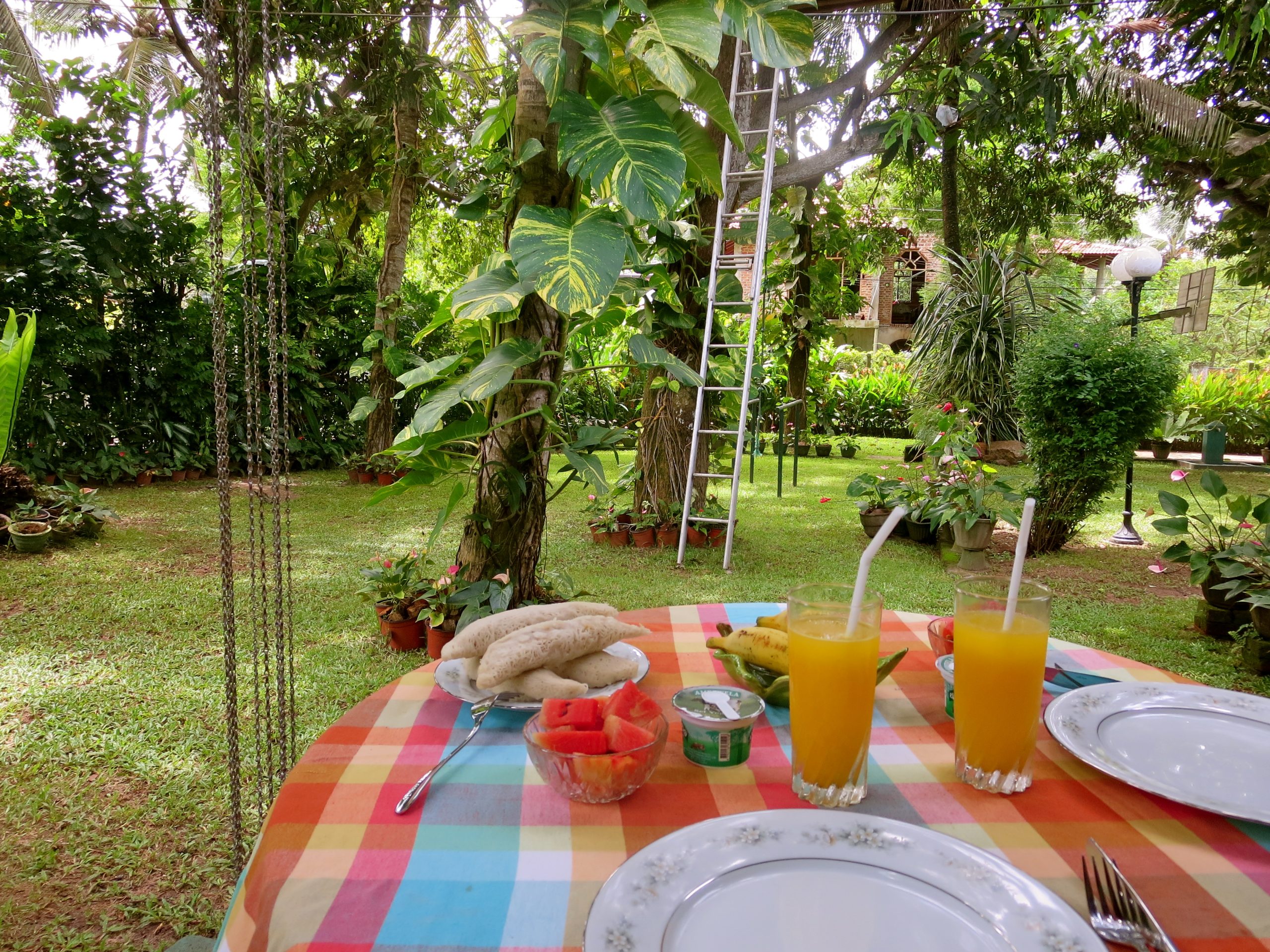 Shivya takes a tasty breakfast break in Sri Lanka