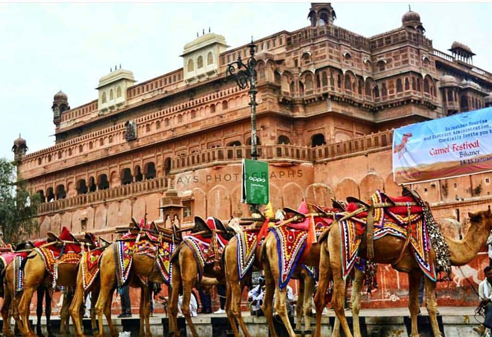 Camel Festival in Bikaner