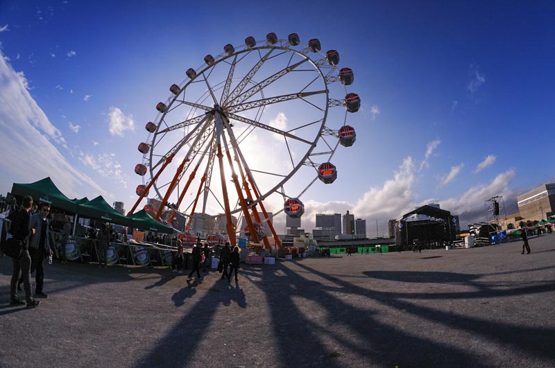 Coachella music festival