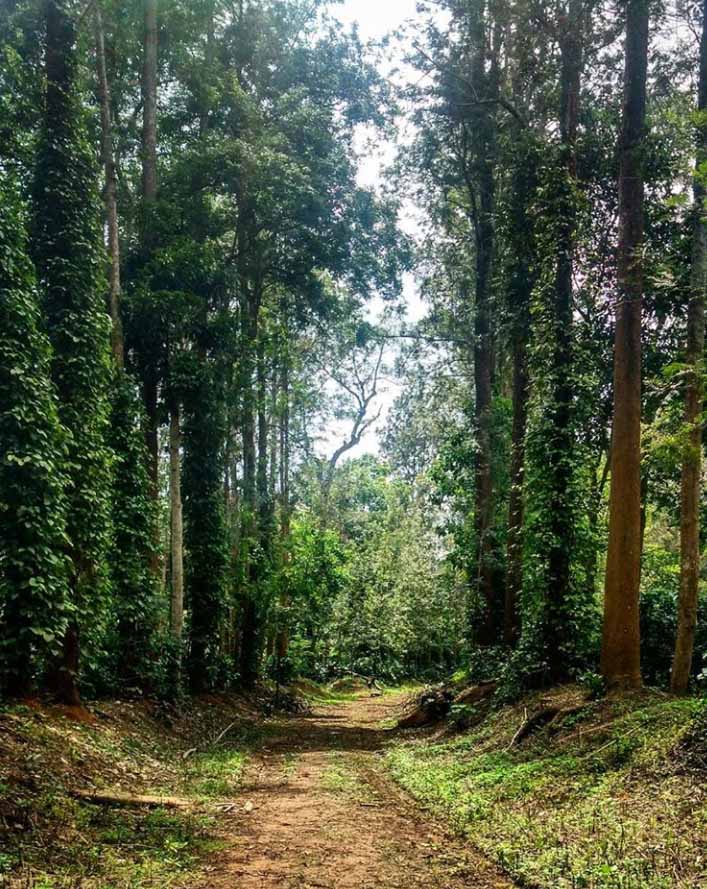coorg-karnatak