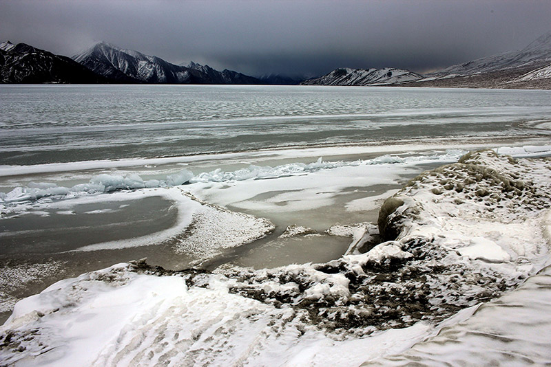 ladakhtrip-Pangong