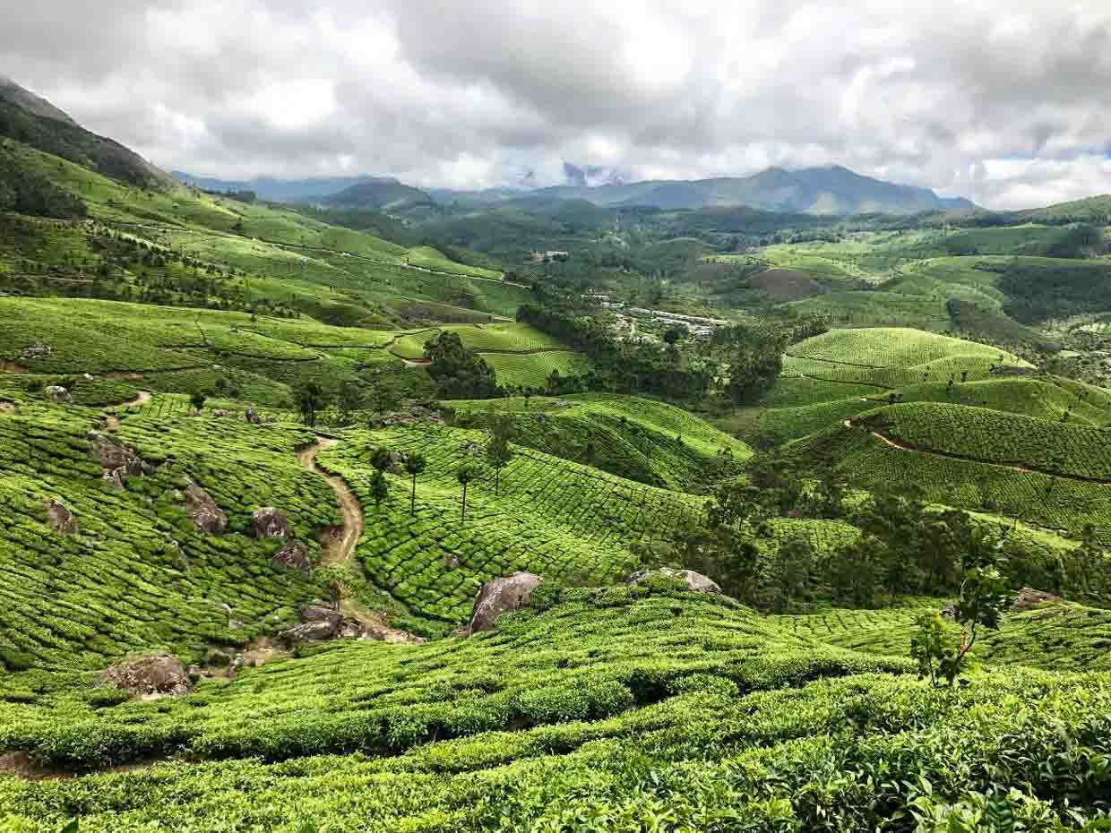 Munnar