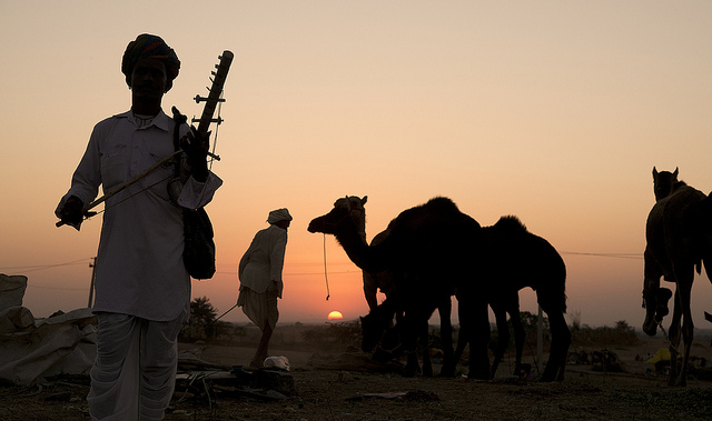 Pushkar camel fair - Photo by Koshy Koshy