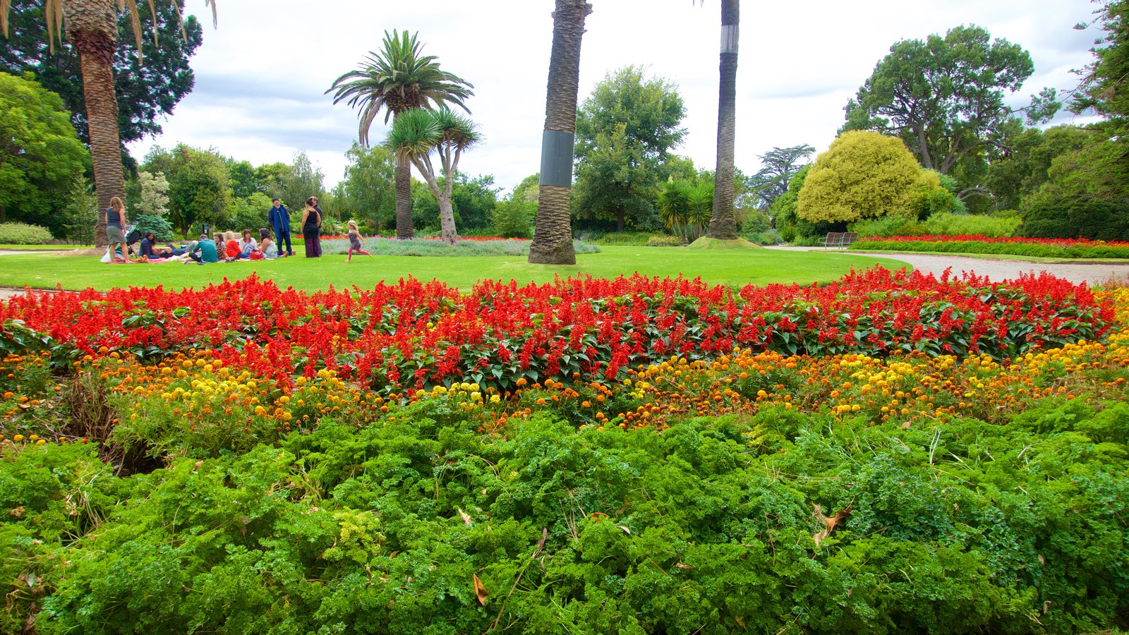 Royal Botanical Gardens  - Melbourne Attractions