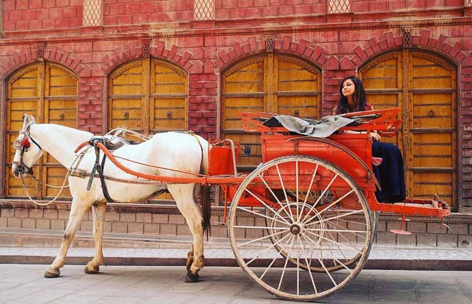 Bikaner carriage ride